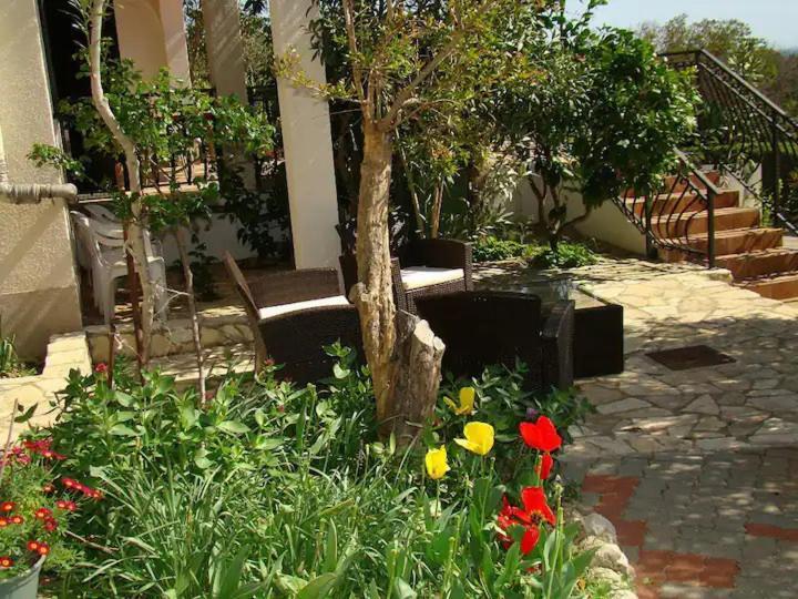 Apartments Davorka Шимуни Екстер'єр фото