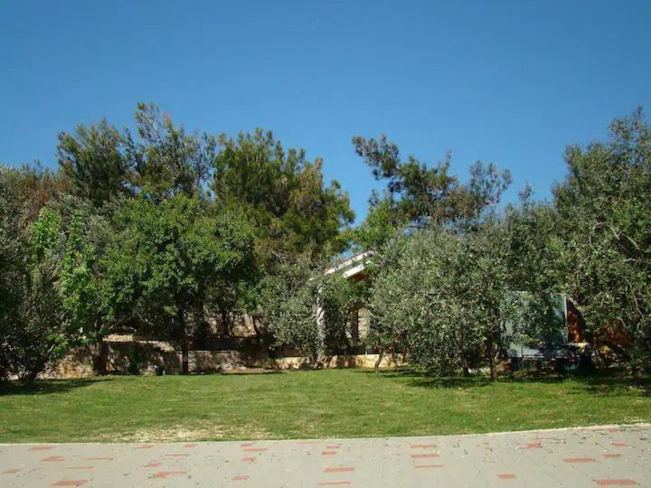 Apartments Davorka Шимуни Екстер'єр фото